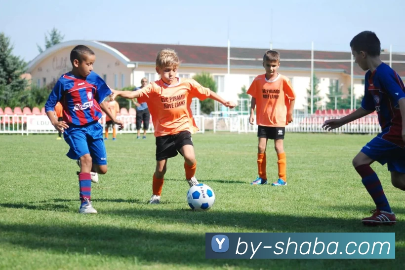 沙巴体育平台服务体系